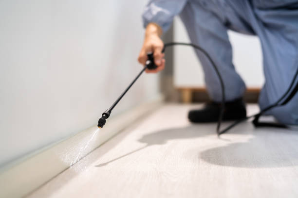 Licensed Fumigation Services service in Ashland, PA - Nex Pest Control
