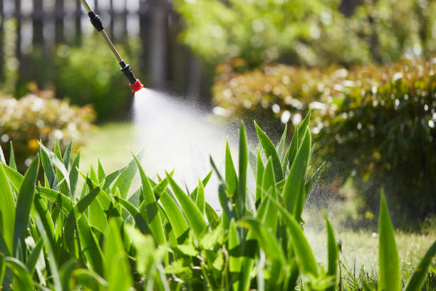 24/7 Emergency Fumigation Services experts in Ashland, PA