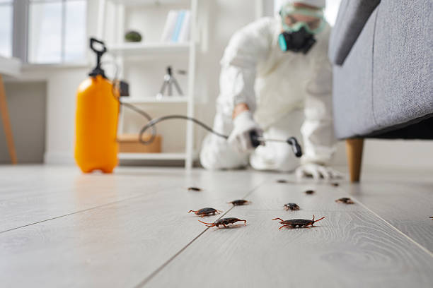 Trusted Fumigation Services service in Ashland, PA - Nex Pest Control