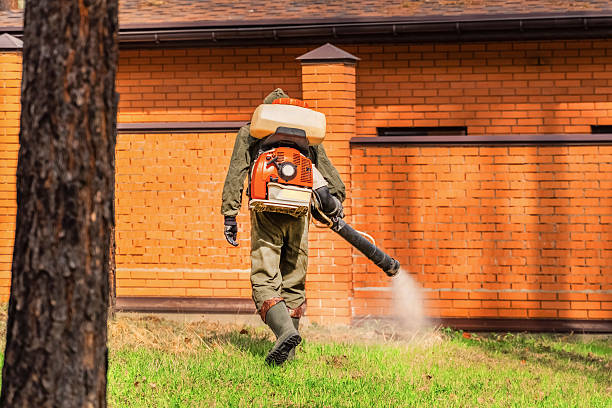 Trusted Bed Bug Control service in Ashland, PA - Nex Pest Control
